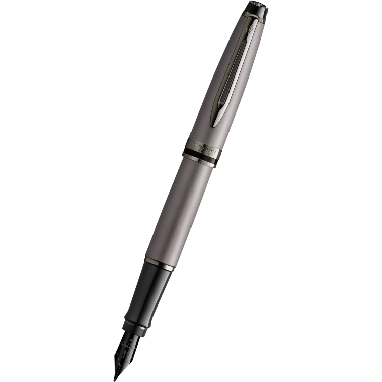 Expert Metallic RT Fountain pen silver WATERMAN - 1