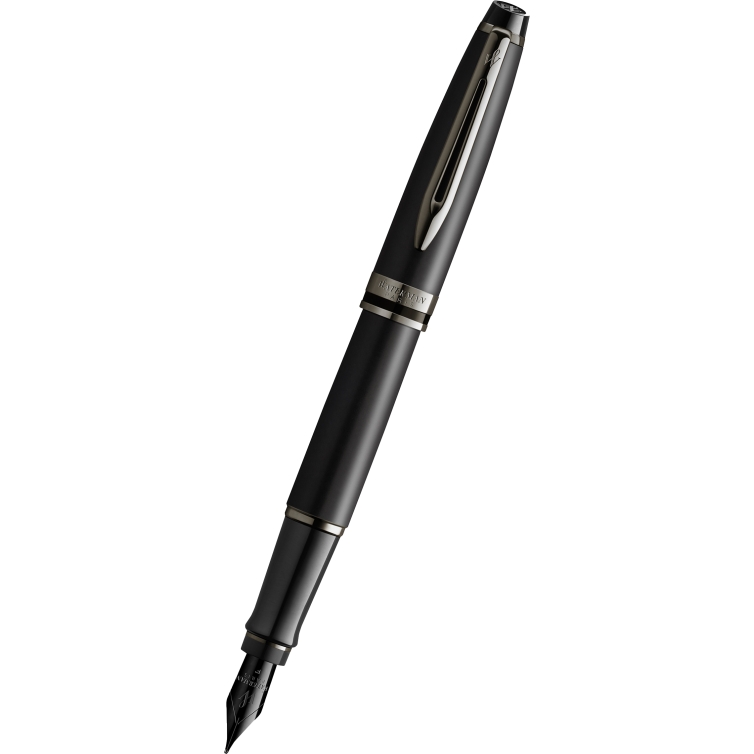Expert Metallic RT Fountain pen black WATERMAN - 1